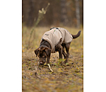Manteau pour chien en polaire Teddy  Frido