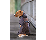Manteau pour chien en polaire Teddy  Frido