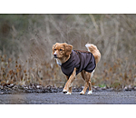 Manteau pour chien en polaire Teddy  Frido
