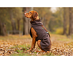 Manteau pour chien en polaire Teddy  Frido