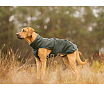 Manteau pour chien en polaire Teddy  Frido