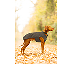 Pullover polaire pour chien  Basic