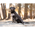 Pullover polaire pour chien  Basic
