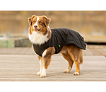 Pullover polaire pour chien  Basic