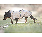 Manteau r�fl�chissant avec doublure en polaire pour teckel  George