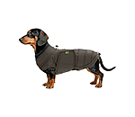 Manteau d'hiver pour teckel  Henry 200 g