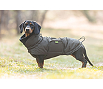 Manteau d'hiver pour teckel  Henry 200 g