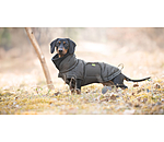 Manteau d'hiver pour teckel  Henry 200 g