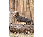 Manteau d'hiver pour teckel  Henry 200 g
