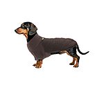 Pullover en polaire pour teckel  Edward