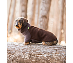 Pullover en polaire pour teckel  Edward