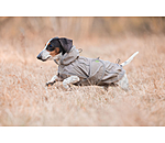 Manteau de pluie pour teckel  Winston
