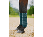 Bandes en polaire  Brilliant