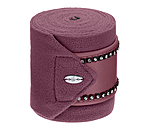 Bandes en polaire  Brilliant