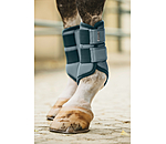 Gu�tres techniques  Swiss Design (Ant�rieurs)