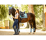 Gu�tres fonctionnelles  Swiss Design (Post�rieurs)