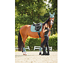 Gu�tres techniques  Mesh-Technology (ant�rieurs)