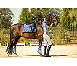 Gu�tres de dressage  Twotone (ant�rieurs)