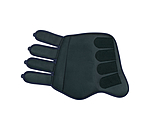 Gu�tres de dressage  Twotone (post�rieurs)