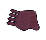 Gu�tres de dressage  Twotone (post�rieurs)