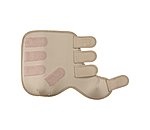 Gu�tres pour post�rieurs  Glitter Stone