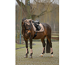 Gu�tres  Teddy, ant�rieurs