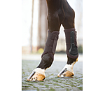 Gu�tres  Teddy, ant�rieurs