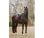 Gu�tres  Teddy, ant�rieurs