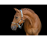 Licol anatomique  Sophistication