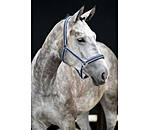 Licol  Swiss Design II