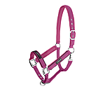 Licol  Mesh-Technology