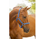 Licol  Twotone & Crystal