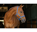 Licol  Twotone & Crystal