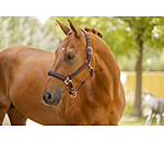 Licol  Twotone & Crystal