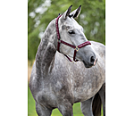 Licol  Signature III