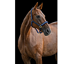 Licol  Signature III