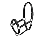 Licol  Signature III