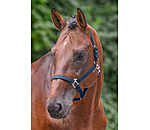 Licol en nylon  prix cass