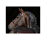 Muserolle sudoise en cuir gras avec noseband et boucle amovible  Mix & Match PRO