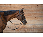 T�ti�re en cuir gras sans mors Mix & Match