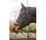 Bridon sans embouchure