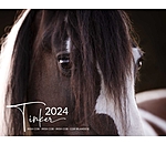 Calendrier Irish Cob 2025