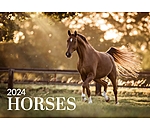 Calendriers 2025 Chevaux