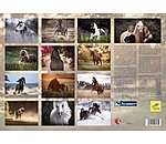 Calendriers 2025 Chevaux