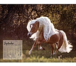 Calendrier Haflinger 2025