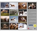 Calendrier Haflinger 2025