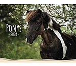 Calendrier 2025 - Poneys