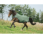 Chemise de marcheur anti-mouches  Economy Light