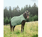 Chemise de marcheur anti-mouches  Economy Light