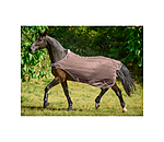 Chemise de marcheur anti-mouches  Economy Light